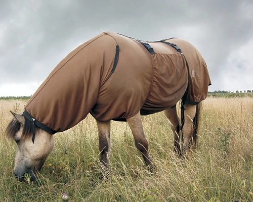 Equestrian / Saddlery Industry